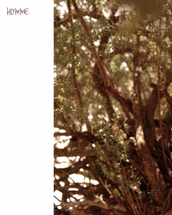 Homme-6-精壯美男魚